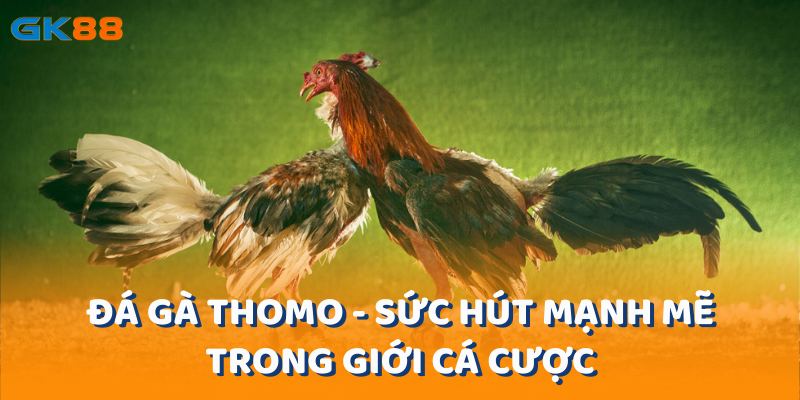 da-ga-thomo-suc-hut-manh-me-trong-gioi-ca-cuoc